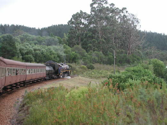 Quteniqua Choo-Tjoe Train