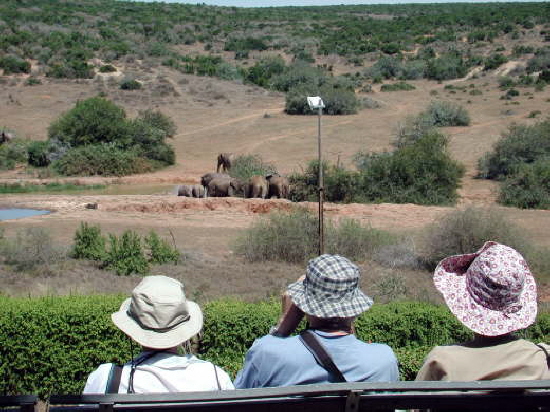 Addo Elephant National Park