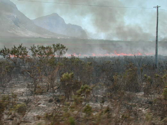Auf der Stra�e nach Hermanus